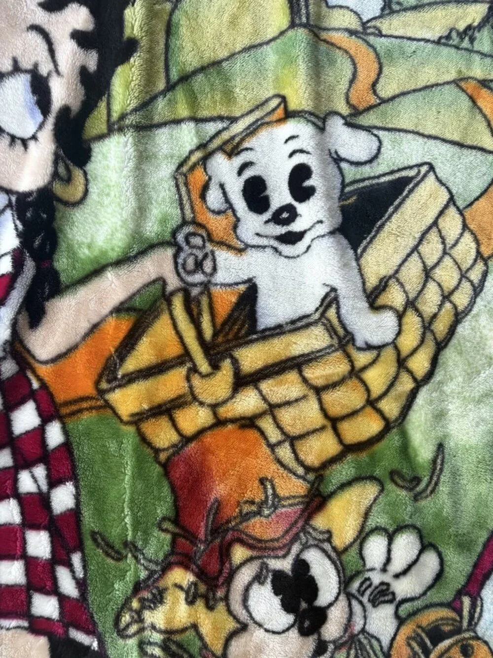 Vintage BETTY BOOP Wizard of Oz Plush Mink Blanket Large Size 58